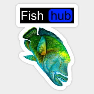 Fish hub napoleon wrasse Sticker